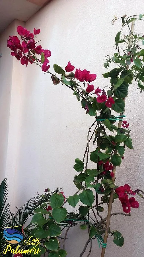 Holiday home Casa Alba Marina Villa Marzamemi Italy